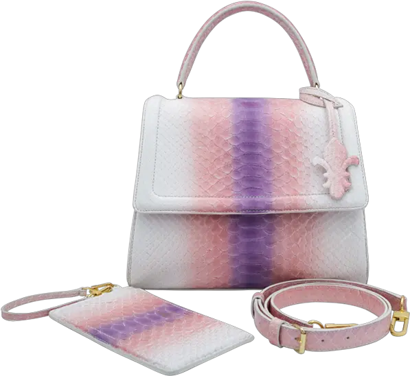 Gaby Mm Python Rose Rainbow Wristlet Png Rainbow Png