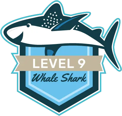 Level 9 Whale Shark Offline Sharks Aquarium Services Png Whale Shark Png