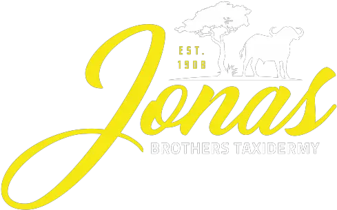 Home Language Png Jonas Brothers Logo