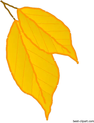 Free Fall Autumn Clip Artt Black Maple Png Falling Leaves Png