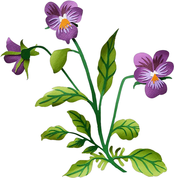 Pansy Pansy Transparent Background Clipart Full Size Pansy Flower Clip Art Png Sunflower Transparent Background