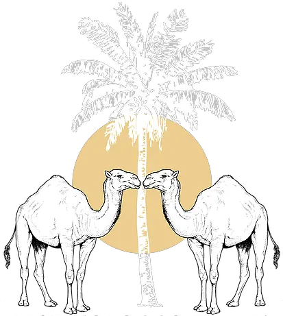 Morocco Sahara Desert Tours From 3 To 10 Days Arabian Camel Png Camel Logo