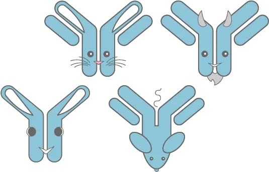 Custom Antibody Development Services Ru0026d Systems Antibodies Language Png Dev Icon