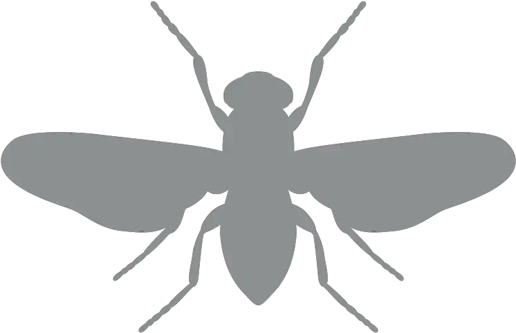 Restaurant And Food Service Pest Control Terminix Png Fly Repellent Icon