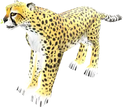 Download Hd Zip Archive Cheetah Transparent Png Cheetah Cheetah Png