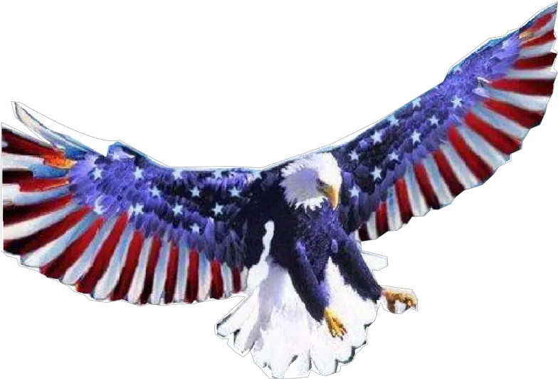 American Flag Bald Eagle Red White And Blue Eagles Png Bald Eagle Transparent