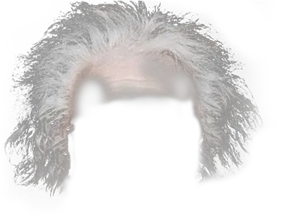Einstein Hair Png Picture Lace Wig Einstein Png