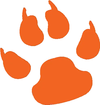 Orange Clipart Tiger Paw Dog Paw Print 500x500 Png Dog Paw Print Tiger Paw Png