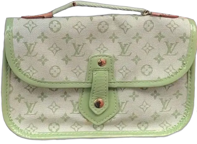Bag Bags Mint Cute Fancy Louisvuitton Png Pngs Aestheti Hobo Bag Louis Vuitton Pattern Png