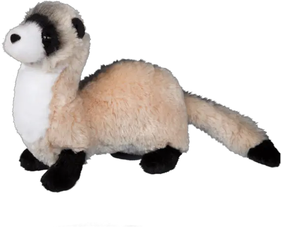 Douglas Dapper Ferret Ferret Stuffed Animal Png Ferret Png