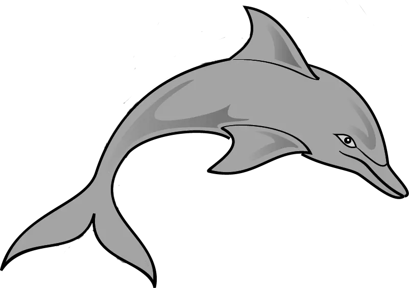 Png Pin Gray Clipart Ocean Animal Animal Living Things Clipart Ocean Clipart Png