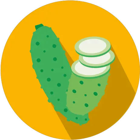 Cucumber Circle Icon Cucumber Icon Png Cucumber Transparent