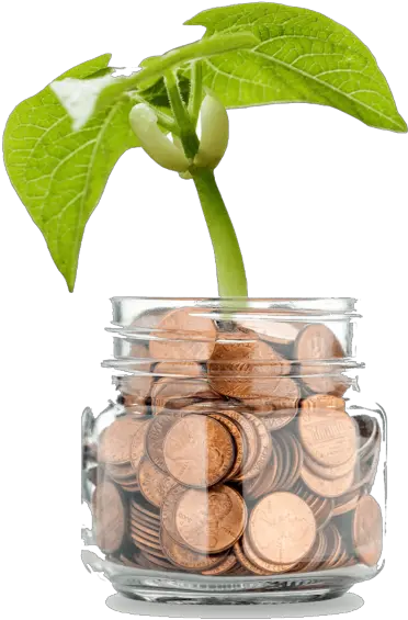 Money Tree Transparent Background Money Tree Png Cash Transparent