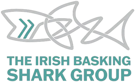Home The Irish Basking Shark Group World Bank Png Shark Logo Brand