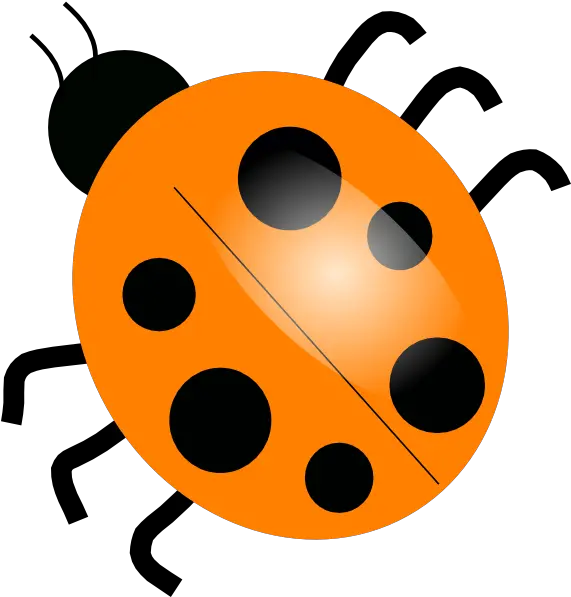 Orange Ladybug Png U0026 Free Ladybugpng Transparent Maruko Ramen Center Ladybug Png