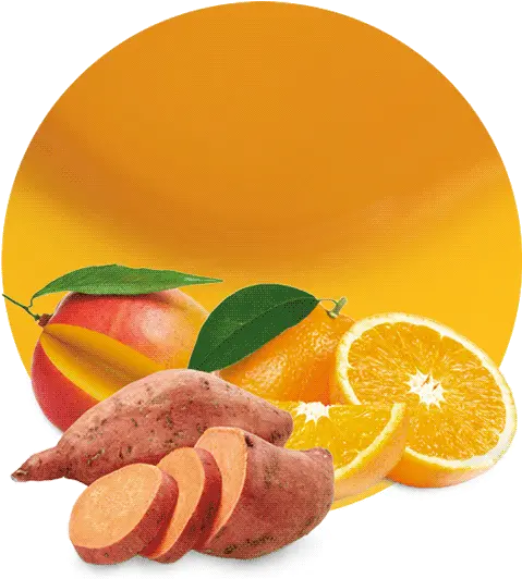 Sweet Potato Png Valencia Orange Potato Png