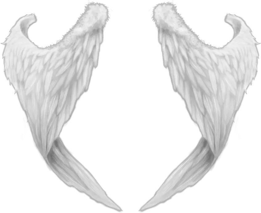 White Wings Png Angel Wings From Behind Wing Png