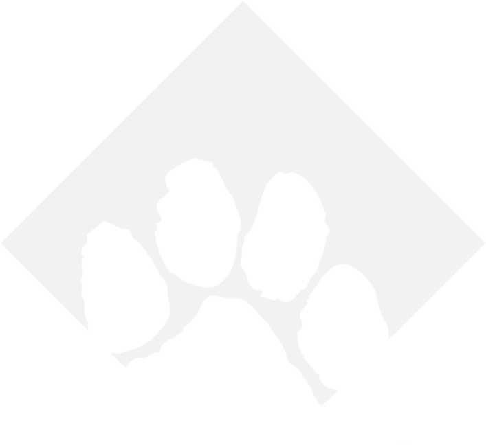 Index Of Wp Contentuploads201705 Tigerpaw Software Png Tiger Paw Png