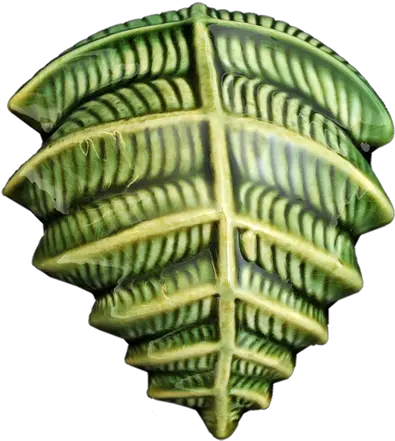 Icon Fern Steiner Ceramics Handmade Ceramics In New Zealand Vertical Png Fern Icon