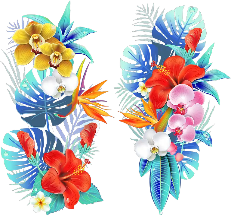Tropical Medellin Flowers Fair Of Tropical Flower Vector Png Tropical Png