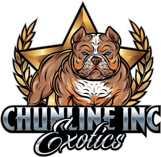 French Bulldogs Exotic American Bullies American Bully Cartoon Logo Png American Bully Logo