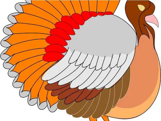 Turkey Bird Clipart Cornucopia Turkey Clipart Png Thanksgiving Bike Turkey Clipart Transparent Background