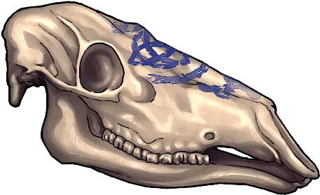 Felvargs Skull Png Sombra Skull Png