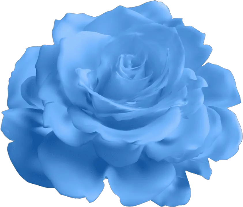 Download Blue Rose Transparent Png Image With No Blue Rose Roses Transparent Background