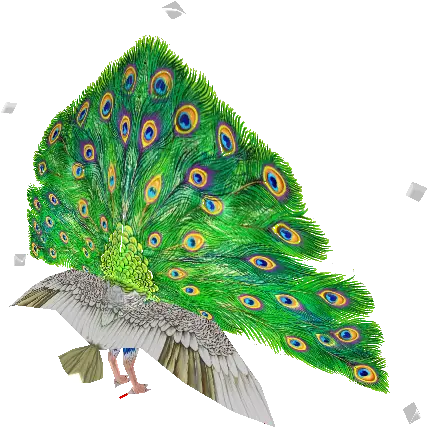 Pc Computer Bird Png Zoo Tycoon 2 Icon