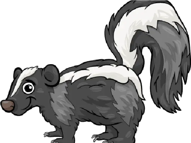 Spotted Skunk Cartoon Png Thing That Smell Bad Skunk Transparent