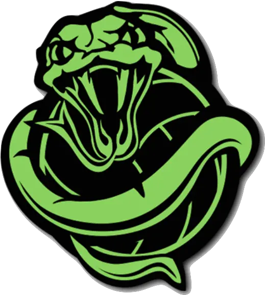 14u Python Spikers U2013 Queen Creek Volleyball Green Python Logo Png Python Logo Transparent