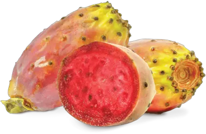 Prickly Pear Png 2 Image Prickly Pear Tobacco Pear Png