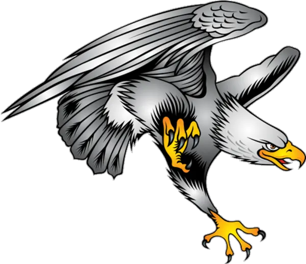 Cool Png Designs 21 Symbol Of Eagle Cool Design Png