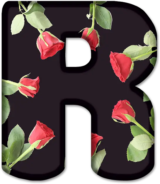 Alfabeto Decorativo Rosas Png In 2020 Monogram Alphabet Design Rosas Png