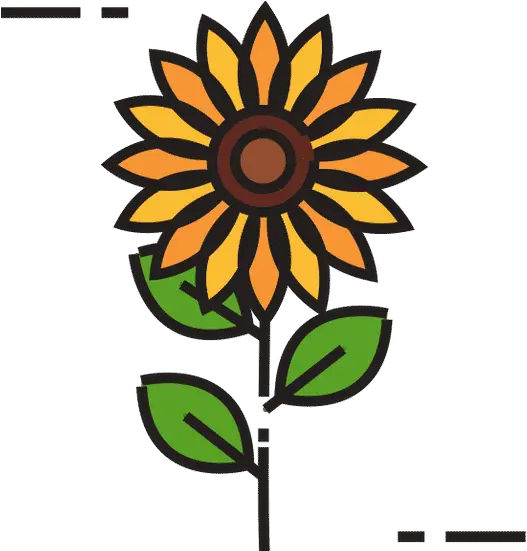 Isolated Sunflower Icon Fill Design Canva Floral Png Sunflower Icon