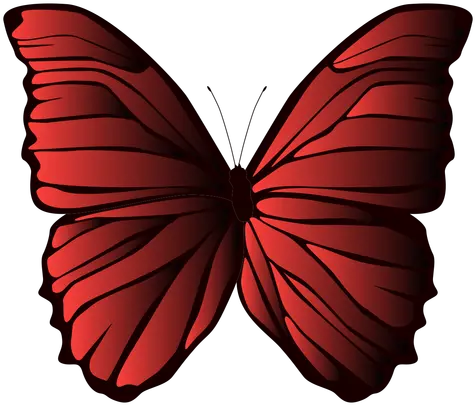 Lined Wings Butterfly Mariposas Gif Sin Fondo Png Butterfly Wing Png