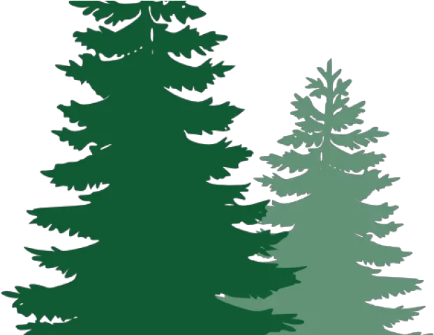 Pine Trees Cliparts Pine Tree Silhouette Png Pine Png