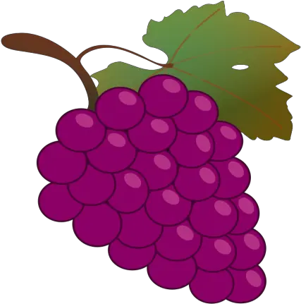 Grape Png Svg Clip Art For Web Download Clip Art Png Grape Clipart Grape Png