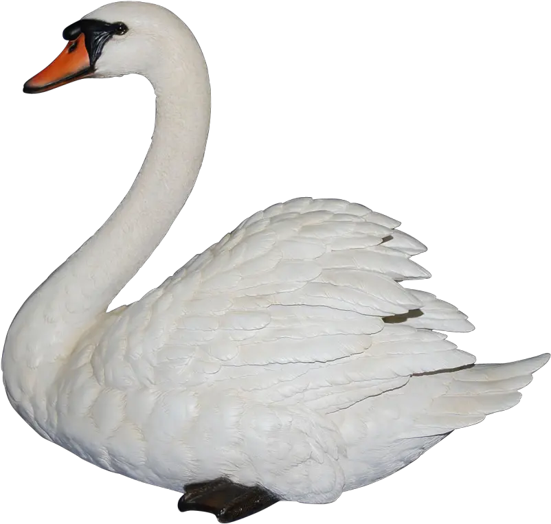 Swan Png Clipart Clipart Swan Swan Png