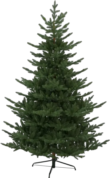 Christmas Tree Branch Pine Tree On White Transparent Png Julgran Naturligt Utseende Pine Tree Branch Png