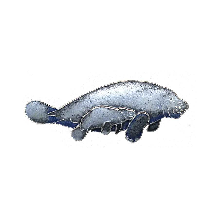 Download Manatee Calf Pin Blue Whale Png Manatee Png