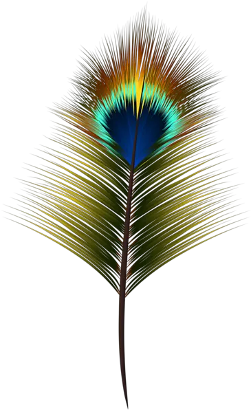 Peacock Feather Png Clip Art High Resolution Peacock Feather Png Peacock Feathers Png