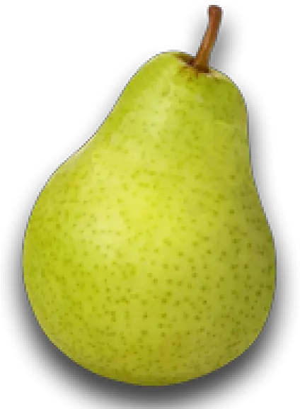 Pear Fruit Watermelon Pera Png Download 600600 Free Png Pear Pear Png