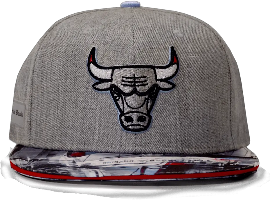 Chicago Artist Hat Series 1718 Chicago Bulls Chicago Bulls Hats Png Bull Bear Icon