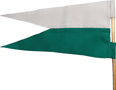 Harry Potter Quidditch Slytherin Quidditch Flag Png Slytherin Png