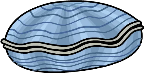 Download Clam Clam Club Penguin Png Clam Png