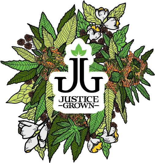 Justice Grown Bouquet U2014 Hgc Studio Llc Heidi Corley Png