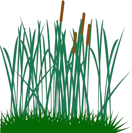 Tall Grass Clip Art Tall Grass Clipart Transparent Png Tall Grass Png