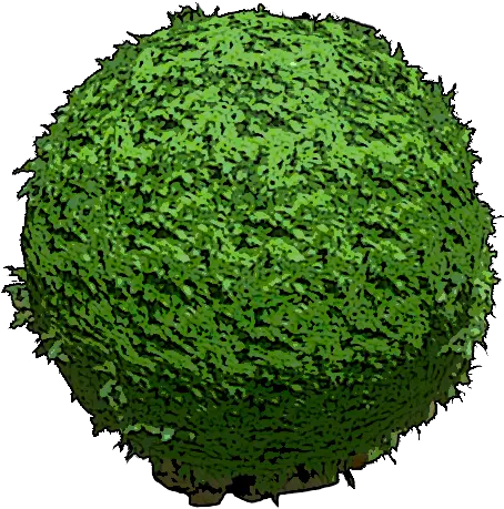 Round Hedge Mobile Official Ark Survival Evolved Wiki Circle Png Hedge Png