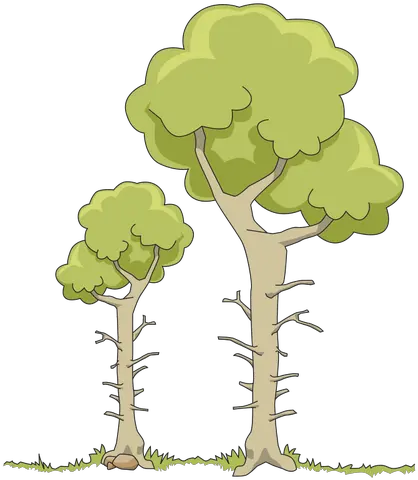 Two Forest Trees Free Svg Dos Árboles En El Bosque Png Forest Trees Png